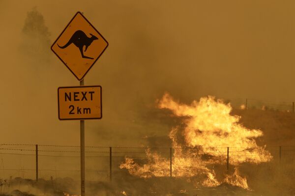 オーストラリアの森林火災（2020年2月1日撮影） - Sputnik 日本