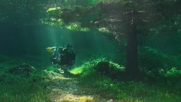 湖に沈む幻の村　ダイバーが撮影 - Sputnik 日本