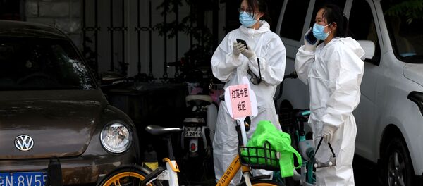 新発地卸売市場 新発地卸売市場 - Sputnik 日本