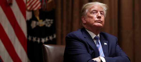 トランプ大統領 トランプ大統領 - Sputnik 日本