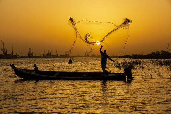 川に網を張る漁師 （イラク、バスラ） - Sputnik 日本