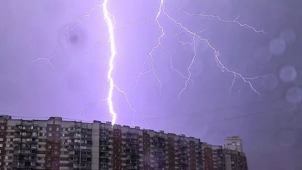 雷 - Sputnik 日本