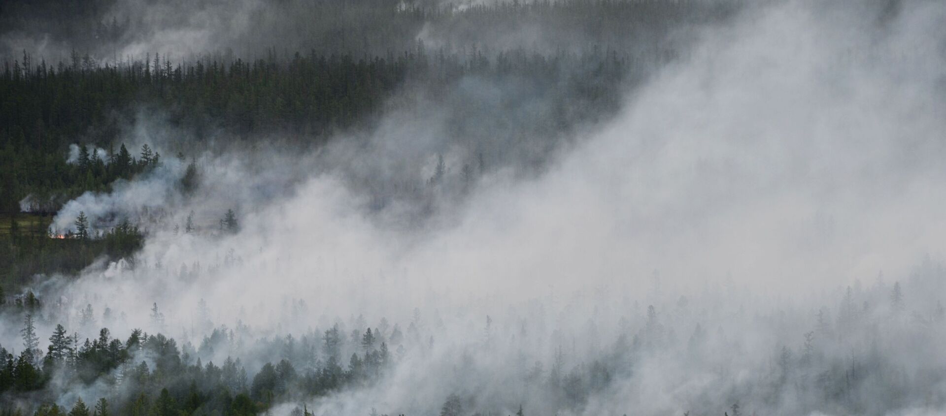 Вид на лесные пожары в Республике Саха (Якутия) с борта вертолета - Sputnik 日本, 1920, 29.06.2020