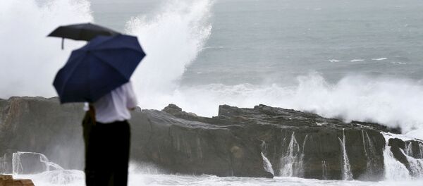 日本 台風19号の影響で空の便1929便欠航、停電 日本 台風19号の影響で空の便1929便欠航、停電 - Sputnik 日本