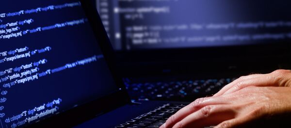 ハッカー ハッカー - Sputnik 日本