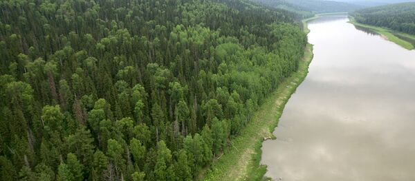 ロシア国民なら極東に1ヘクタールの土地が無償でもらえちゃう ロシア国民なら極東に1ヘクタールの土地が無償でもらえちゃう - Sputnik 日本
