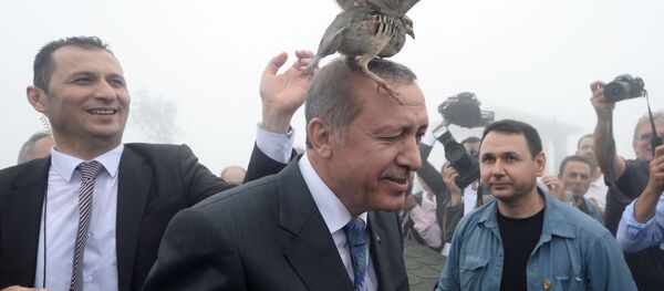 エルドアン大統領 - Sputnik 日本