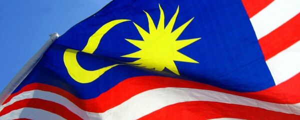 マレーシア国旗 - Sputnik 日本