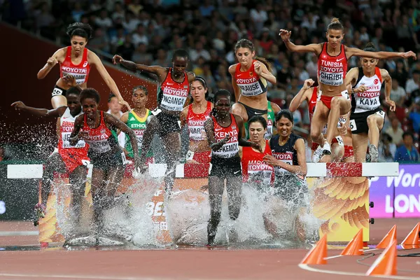 北京の世界陸上選手権。女子3千メートル障害走で。 北京の世界陸上選手権。女子3千メートル障害走で。 - Sputnik 日本