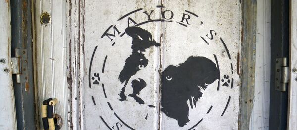 犬の町長 米大統領選挙に出馬の意向 犬の町長 米大統領選挙に出馬の意向 - Sputnik 日本