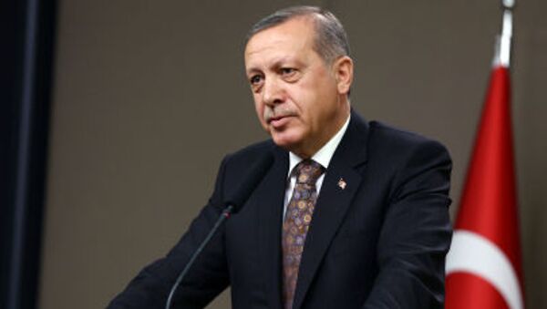 トルコのエルドアン大統領 - Sputnik 日本