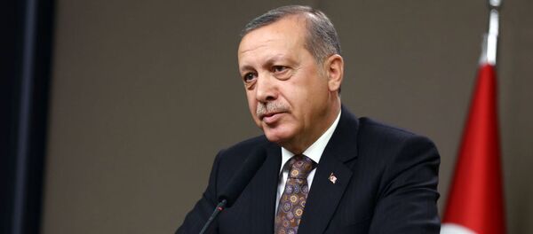 トルコのエルドアン大統領 トルコのエルドアン大統領 - Sputnik 日本