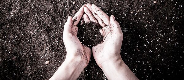 Земля в ладонях Земля в ладонях - Sputnik 日本