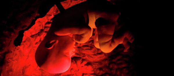 胚 - Sputnik 日本