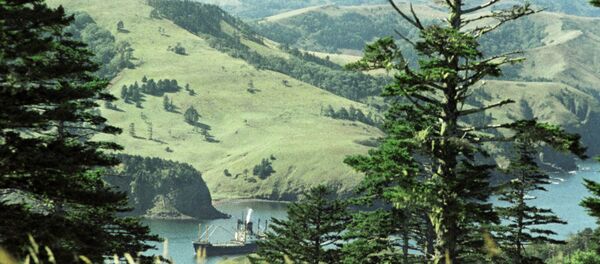 自然保護区「クリルスキー」の所長 世界救済法を提案 自然保護区「クリルスキー」の所長 世界救済法を提案 - Sputnik 日本