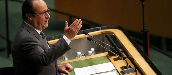 オランド仏大統領、シリアの正常化の国際連合軍は可能かつ不可欠 - Sputnik 日本