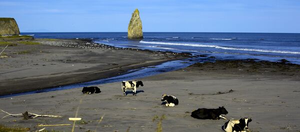 クリル - Sputnik 日本