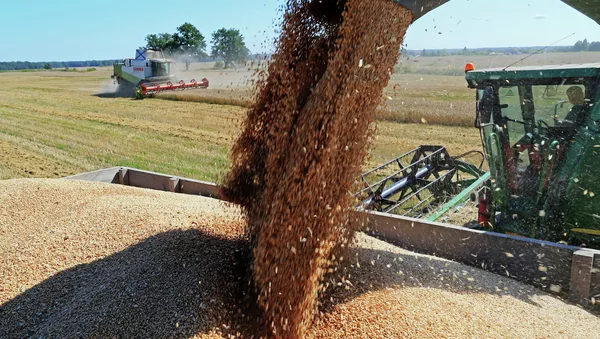 ロシア産食糧の輸出　１０年後にはガスと同じ利益をもたらす - Sputnik 日本