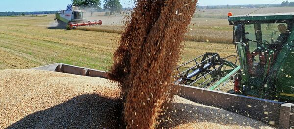 ロシア産食糧の輸出 10年後にはガスと同じ利益をもたらす ロシア産食糧の輸出 10年後にはガスと同じ利益をもたらす - Sputnik 日本